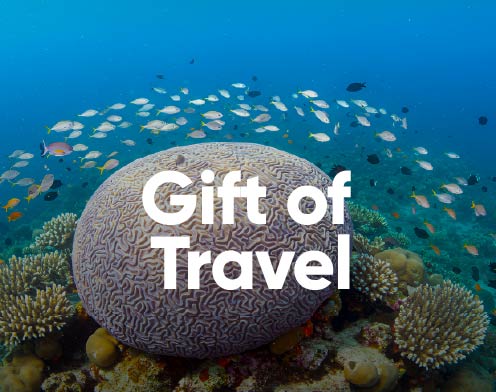 Travel Card 1 Thumbnail